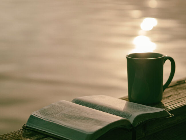 Hábitos de lectura, ocio. Paisaje tranquilo con libro y taza de café